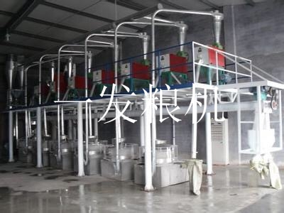 日產(chǎn)5T臥盤式石磨機(jī)組