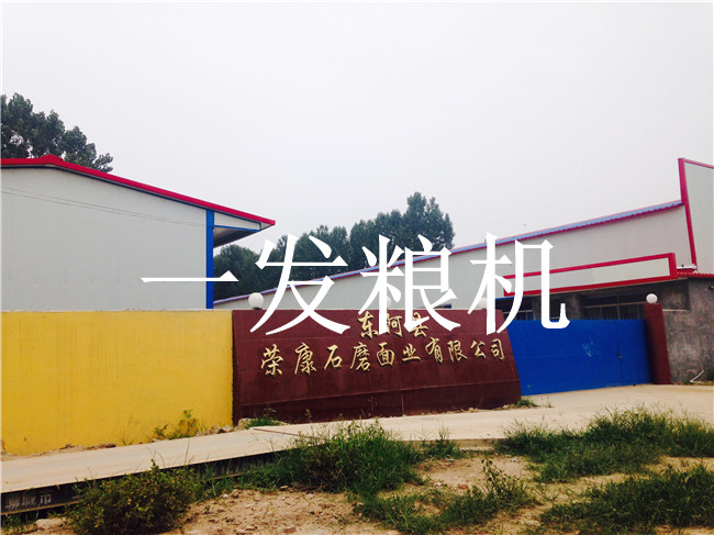 東阿石磨面業(yè)有限公司二期工程